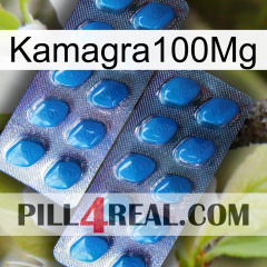 Kamagra100Mg viagra2